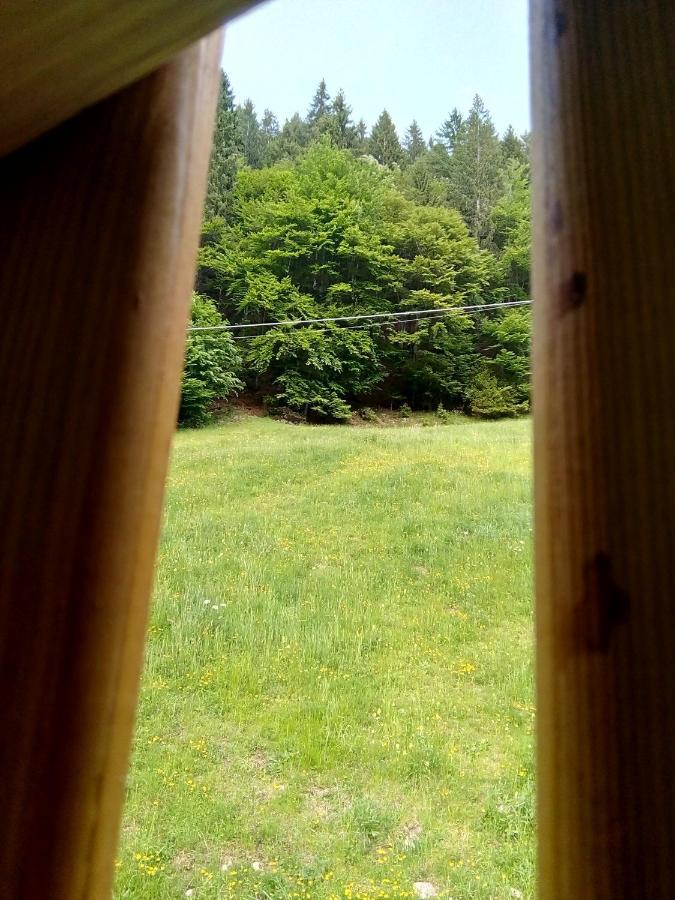 B&B Pra' Dei Cervi Telve エクステリア 写真